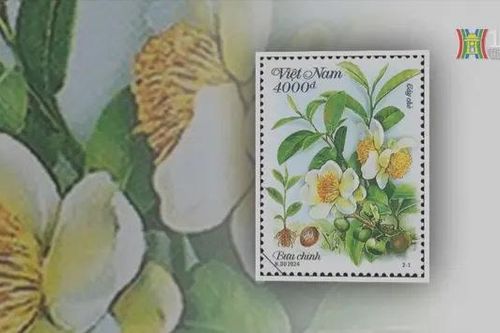 Phát hành bộ tem 'Cây chè' Việt Nam