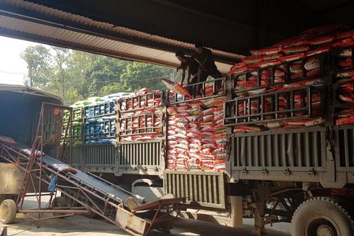 Công ty cổ phần Vật tư nông nghiệp cung ứng 11.064 tấn phân bón các loại