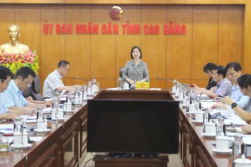 Họp Ban chỉ đạo cổ phần hóa Công ty TNHH Đầu tư phát triển và Môi trường Cao Bằng