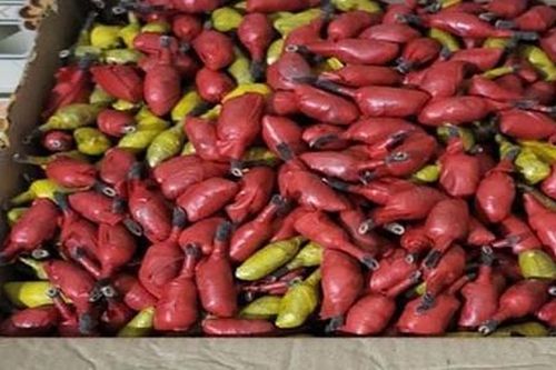Phá đường dây chuyên buôn thuốc nổ quy mô lớn để đánh bắt hải sản