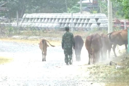 Hơn 10 năm sống cảnh nắng bụi mưa lầy, dân tái định cư kêu trời