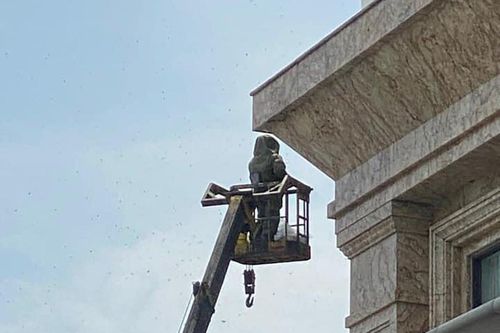 Khách sạn thuê người phá tổ ong, nhiều người đi đường bị đốt nhập viện