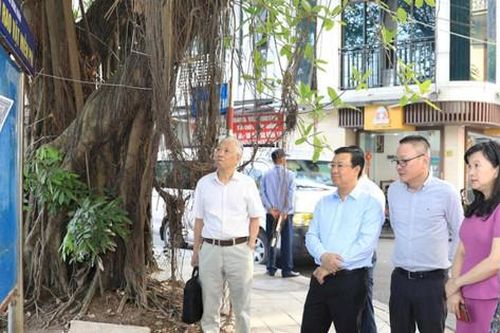 Quận Hai Bà Trưng cần tiếp tục làm tốt công tác quản lý nhà nước về quảng cáo