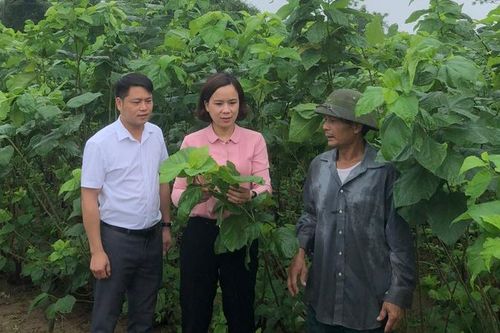 Mở rộng thực hành dân chủ, tăng cường đồng thuận xã hội