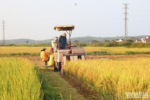 Cơ giới hóa trong sản xuất góp phần tăng trưởng ngành nông nghiệp