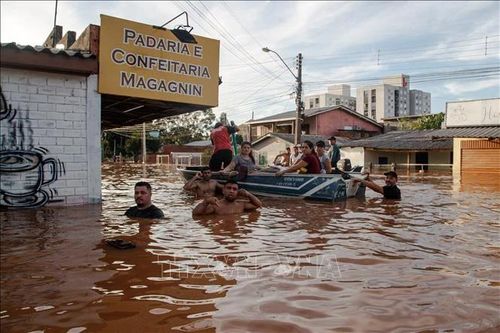 Brazil: Tạm dừng áp thuế nhập khẩu gạo