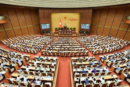 ĐBQH đề nghị xem xét, cân nhắc lại quy định áp giá trần đối với giá vé máy bay nội địa
