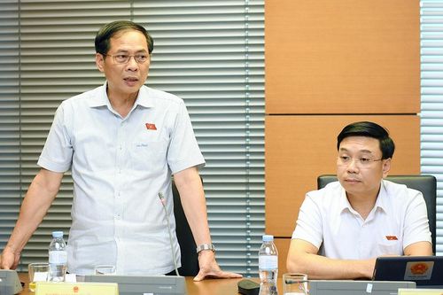Bộ trưởng Ngoại giao Bùi Thanh Sơn: Doanh nghiệp các nước trong cộng đồng quốc tế tin tưởng vào Việt Nam