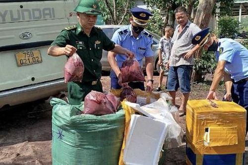 Bắt giữ nhiều vụ vận chuyển nội tạng động vật không rõ nguồn gốc ở biên giới