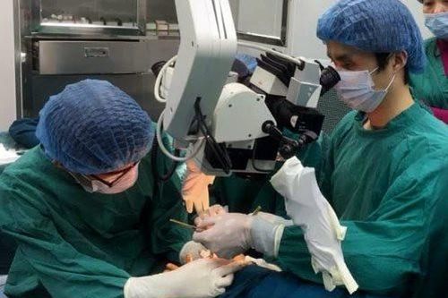 Nối thành công 3 ngón tay bị đứt lìa cho bệnh nhân nam