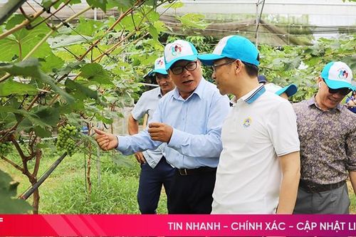 Đoàn Farmtrip các tỉnh khảo sát du lịch nông thôn Hà Tĩnh