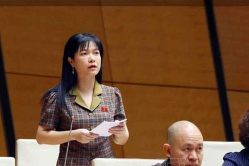 Đại biểu Quốc hội: Biến động thị trường vàng có thể do đầu cơ, lũng đoạn