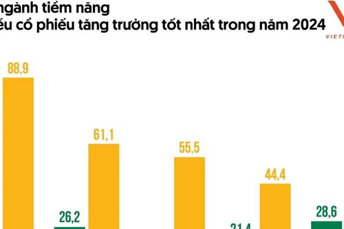 Cổ phiếu ngành nào tăng trưởng tốt nhất trong năm 2024?