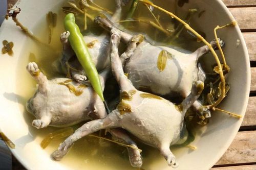 Món ăn cho tiền không dám thử nhưng là đặc sản trứ danh của Ninh Thuận và Thái Lan