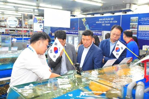 Hải sản Hàn Quốc, Nhật Bản 'chen chân' vào thị trường Việt Nam