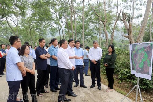Ban Thường vụ Tỉnh ủy làm việc tại huyện Mường Ảng