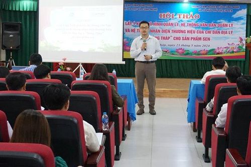 Chỉ dẫn địa lý giúp sen Đồng Tháp nâng cao giá trị