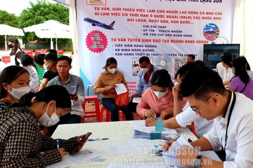 Cảnh giác lừa đảo đưa người đi làm việc tại Australia