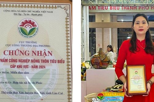 Miến đao sâm Bát Xát đạt danh hiệu sản phẩm công nghiệp nông thôn tiêu biểu cấp khu vực - năm 2024