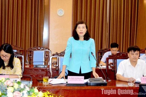 Thường trực HĐND tỉnh giám sát tiến độ thực hiện kế hoạch phát triển công nghiệp