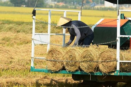 Giải quyết vấn nạn đốt rơm rạ sau thu hoạch lúa: Không để đến hẹn lại… kêu
