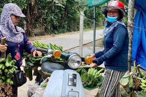 'Vựa' chuối Hương Vân