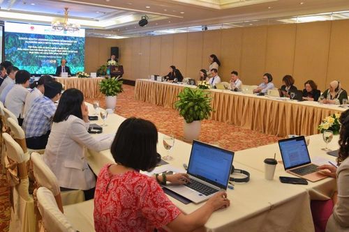Thừa Thiên - Huế: Đạt kết quả tích cực trong chuyển đổi năng lượng xanh, giảm phát thải