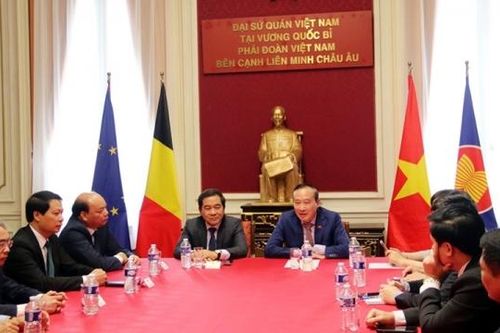 Thái Bình: Xúc tiến đầu tư tại Vương quốc Bỉ