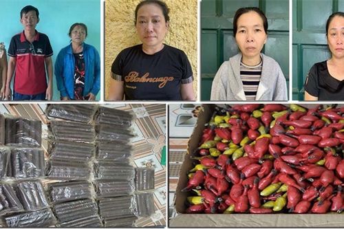Triệt phá đường dây mua bán trái phép vật liệu nổ từ Tây Nguyên về Thanh Hóa tiêu thụ