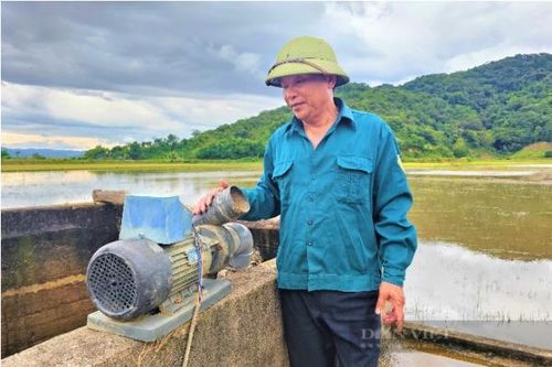 Bắt tạm giam giám đốc và kế toán HTX Dịch vụ nông nghiệp Thanh Bình