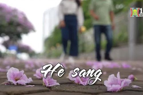 Hè sang | Nhịp sống Hà Nội | 23/05/2024