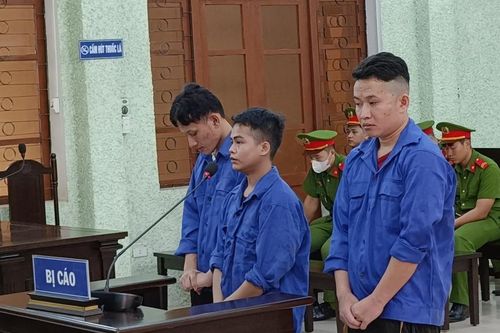3 bị cáo phạm tội trộm cắp tài sản lĩnh án 11 năm 2 tháng tù giam