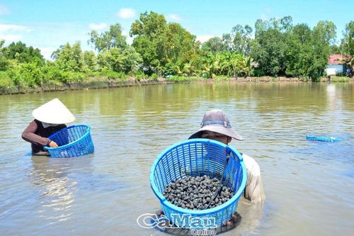 Thích nghi để phát triển sản xuất