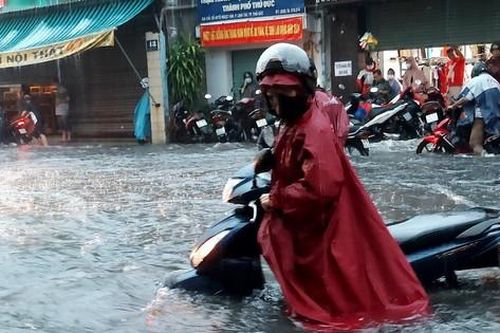 Thành phố Hồ Chí Minh cần bài toán tổng thể giải quyết ngập do mưa