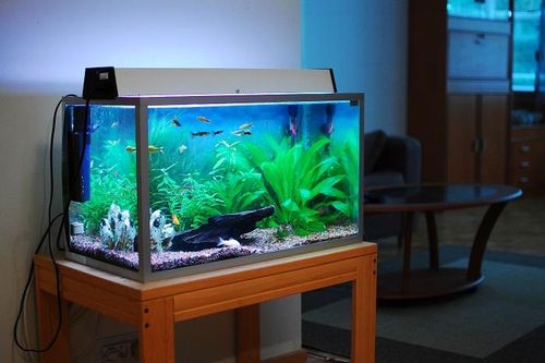 Nước chảy ra từ điều hòa liệu có an toàn? Đổ đi quá lãng phí, giữ lại làm 4 việc sau