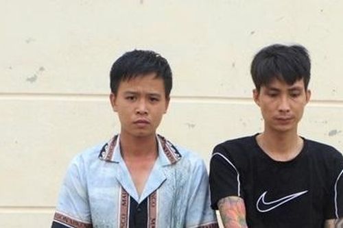 Vờ hỏi chuyện, 2 gã trai cướp giật điện thoại di động của cô gái trẻ
