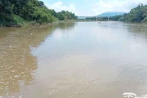 Quảng Ngãi: Tìm thấy thi thể nạn nhân mất tích trong vụ sạt lở đất