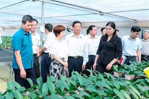 Huyện Gia Lâm: phát triển kinh tế theo hướng hàng hóa, tập trung