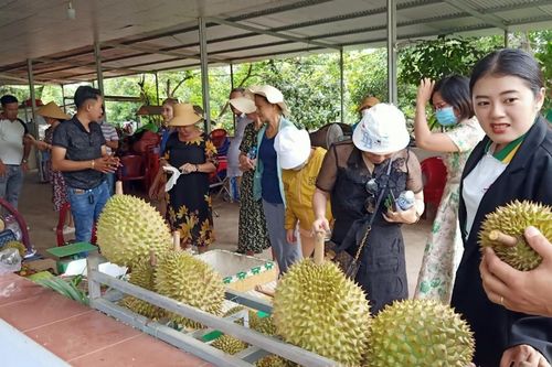 Lễ hội trái cây Long Khánh 2024 kết nối du lịch sinh thái miệt vườn