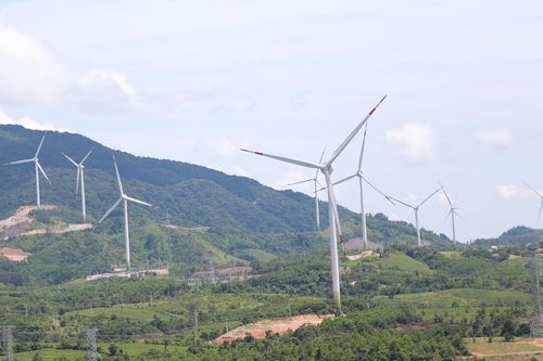 Đề nghị thu hồi 'sổ đỏ' gắn tài sản dự án điện gió xây sai vị trí ở Quảng Trị