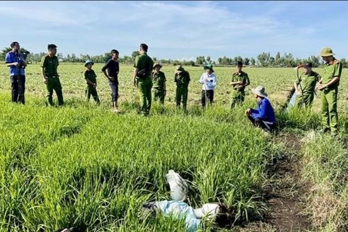 Cảnh báo tai nạn chết người từ việc sử dụng điện bẫy chuột