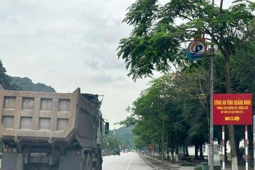 'Binh đoàn hổ vồ' lộng hành, cơ quan chức năng Quảng Ninh làm ngơ?