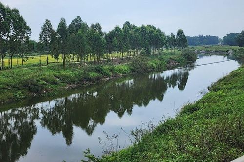 Xem xét dừng dự án kênh Than 203,8 tỷ đồng hơn 10 năm chưa hoàn thành