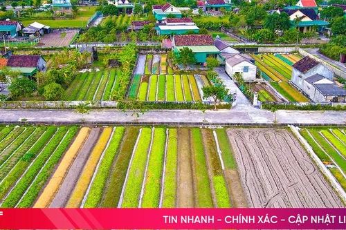 Hà Tĩnh cấp gần 8 tỷ đồng khuyến khích phát triển nông nghiệp, nông thôn