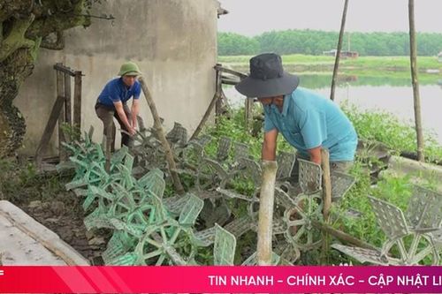 Hàng chục hộ nuôi trồng thủy sản 'dư khổ' vì thiếu điện