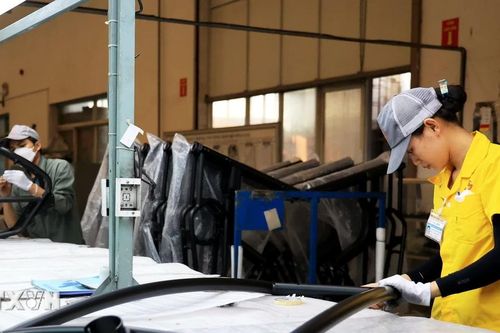 Thái Bình muốn thu hút đầu tư và hợp tác kinh doanh với các đối tác của Bỉ