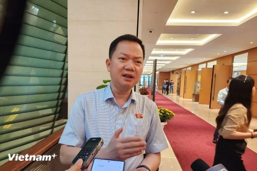 Đại biểu Quốc hội đề xuất cấm loại hình nhà cho thuê trọ kết hợp kinh doanh