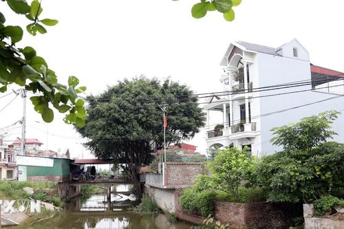 Hải Dương kiên quyết xử lý vi phạm công trình thủy lợi tại kênh Đại Phú Giang