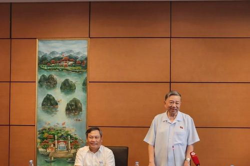 Chủ tịch nước Tô Lâm: Cần phải bổ sung quy định dao là vũ khí để quản lý