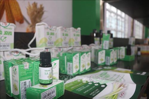 Chống 'ế hàng' sản phẩm OCOP